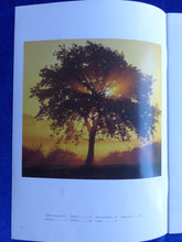 Lade das Bild in den Galerie-Viewer, Opel Combo Tour MJ 1997 - Prospekt Brochure + Preisliste 06.1996