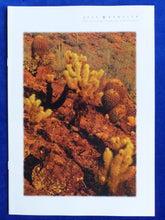 Lade das Bild in den Galerie-Viewer, Jeep Wrangler - Daten &amp; Ausstattungen MJ 2000 - Prospekt Brochure 09.1999
