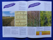 Lade das Bild in den Galerie-Viewer, Lippstädter Untersaaten Getreide Ackerbohnen Mais - Prospekt Brochure 80er

