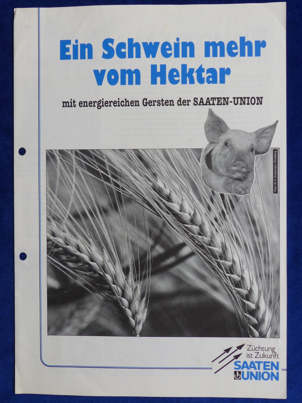 Saaten Union Wintergerste Krimhild Grete - Prospekt Brochure 06.1993